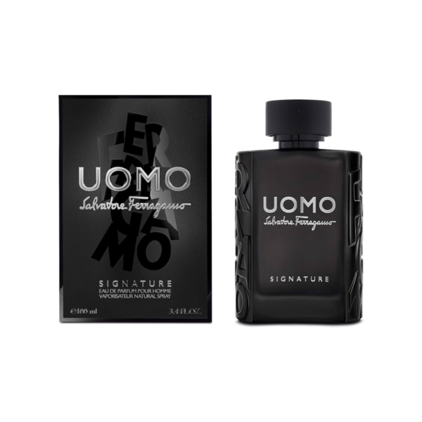 SALVATORE FERRAGAMO UOMO SIGNATURE 100ML MEN EDP - Imagen 2